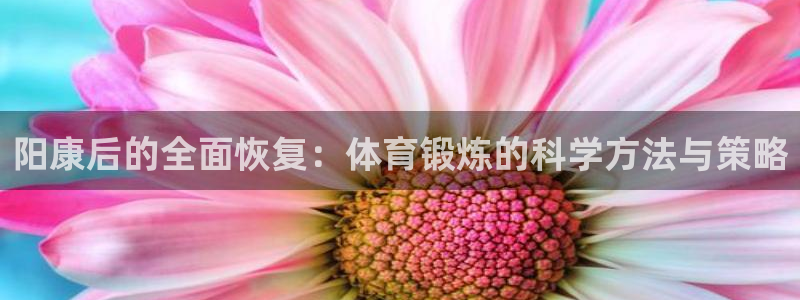 b体育必一运动官网