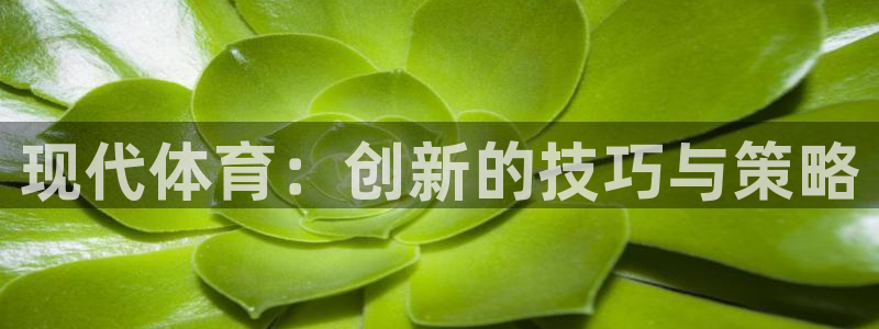 必一运动体育官网