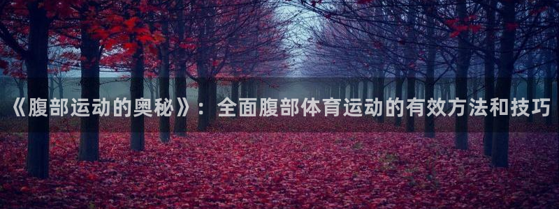 必一运动体育官网入口